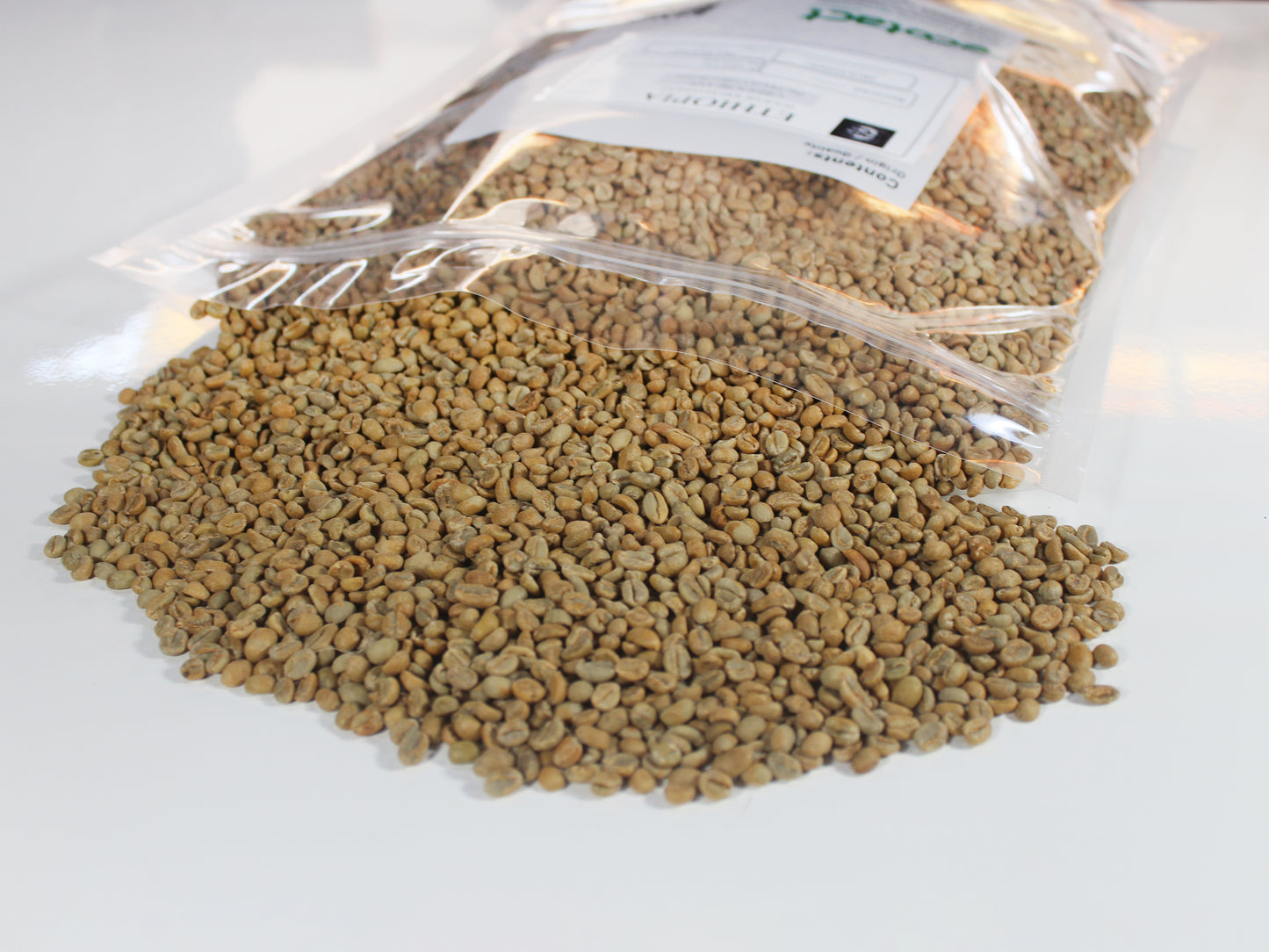 Premium Green Beans - Ethiopia, Gatta